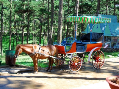 horse-carriage-for-hire-in-a-park-in-dalat